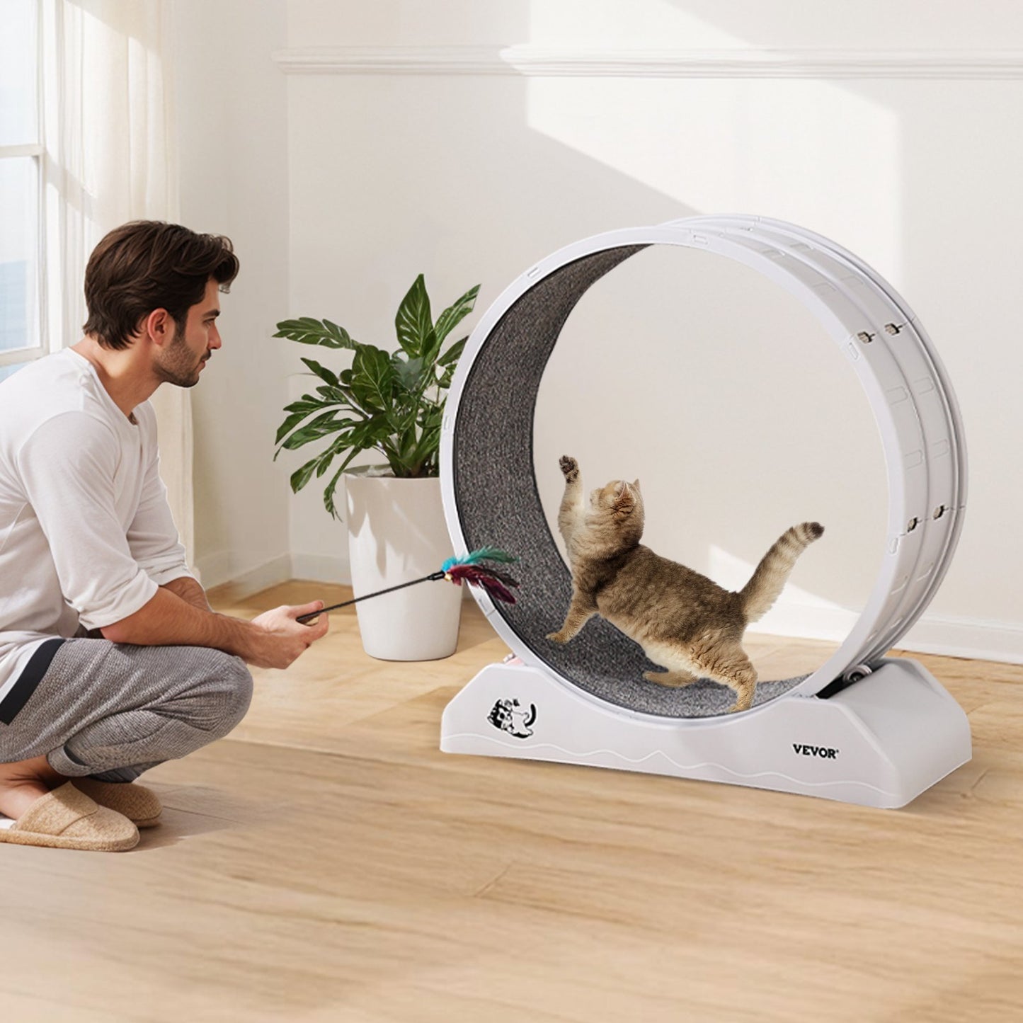 Cat Running Wheel Treadmill