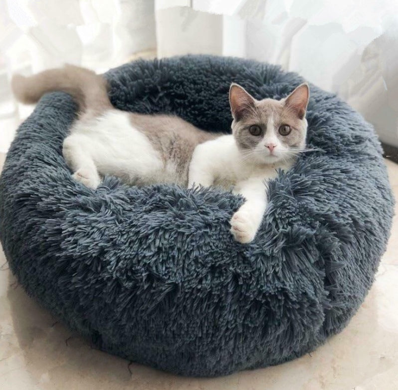 Pet BED