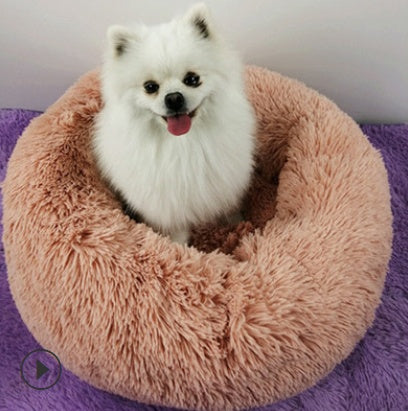 Pet BED