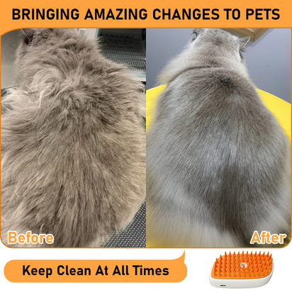 4 In 1 Cat Steam Brush