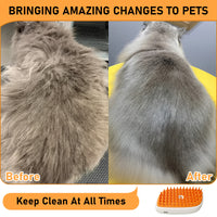 4 In 1 Cat Steam Brush