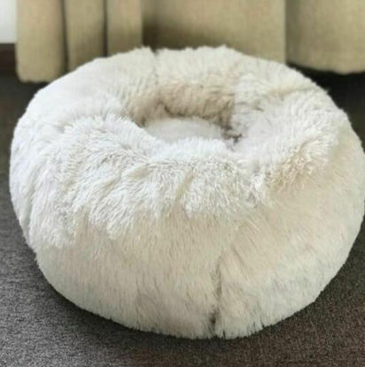 Pet BED