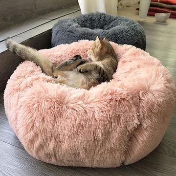 Pet BED
