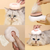 Pet Massage Hair Removal Comb